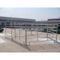 GM High quality hot sale galvanized pipe cattle fence